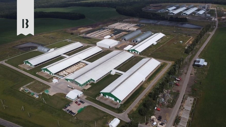 primenenie-khrizotilczementnoj-krovli-dlya-agrokompleksov-2.jpg primenenie-khrizotilczementnoj-krovli-dlya-agrokompleksov-2.jpg